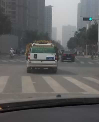 一個拉風(fēng)的綠色車 一個拉風(fēng)的綠色車