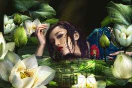 青蓮立體效果圖 青蓮立體效果圖