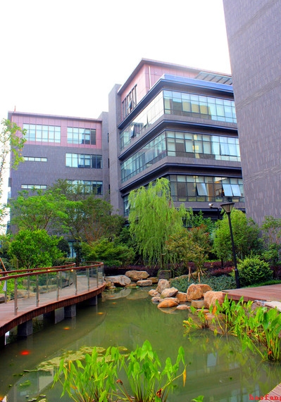 網(wǎng)站優(yōu)化之網(wǎng)站收錄下降的原因有哪些?