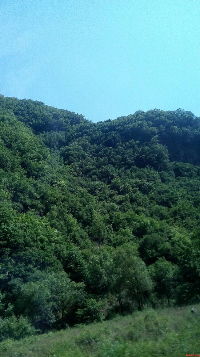 醉美的山色 醉美的山色