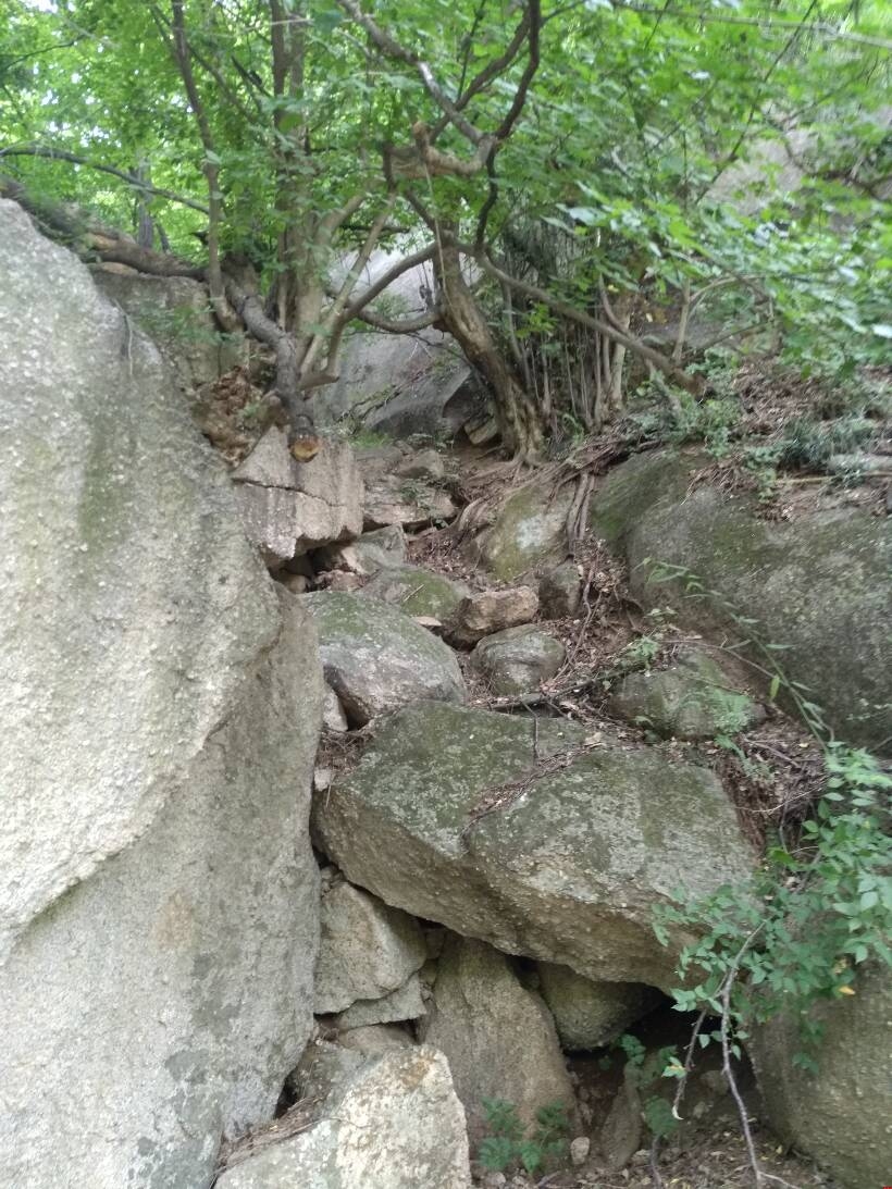 鄭州網站建設的扎根精神