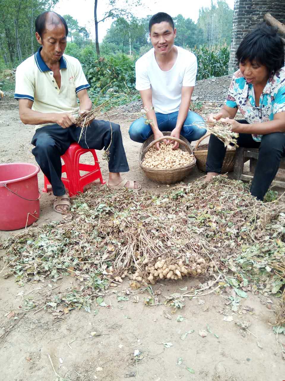 Ʒ2016﹝(ji)׌cĸF(tun)A(dng)