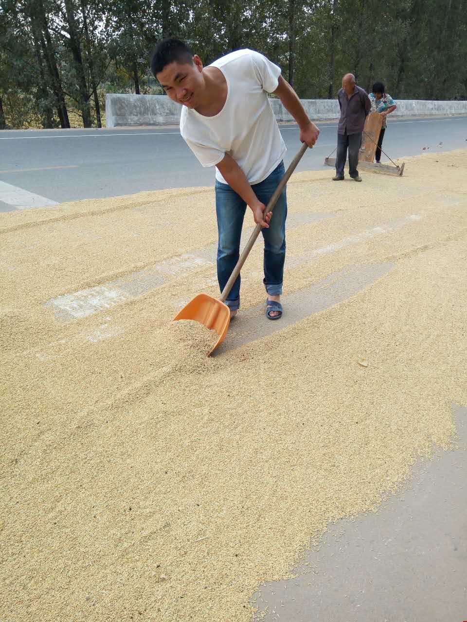 浩方團隊陳經(jīng)理陪雙親勞動www.axyouyongchi.com 浩方團隊陳經(jīng)理陪雙親勞動www.axyouyongchi.com