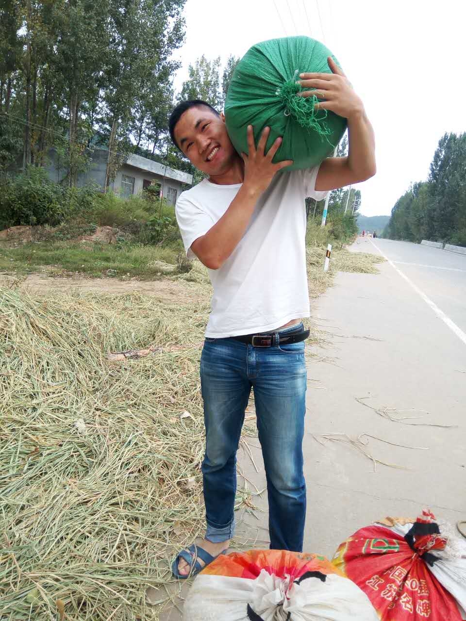 浩方網(wǎng)站建設團隊陳經(jīng)理中秋節(jié)在家務農(nóng)www.98988.org 浩方網(wǎng)站建設團隊陳經(jīng)理中秋節(jié)在家務農(nóng)www.98988.org