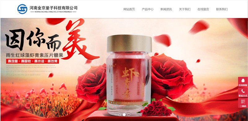 ϽӿƼ޹˾W(wng)վO(sh)